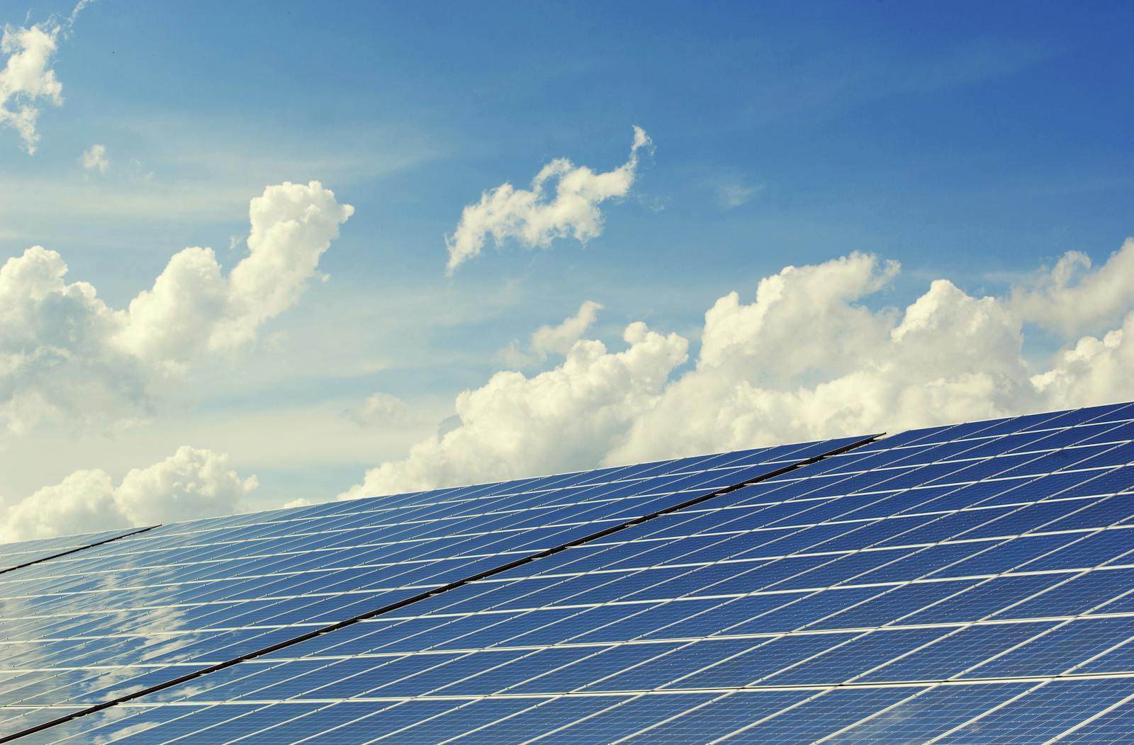 Tirupati Solar — 50MW operational in Gujarat